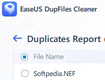 EaseUS DupFiles Cleaner Pro
