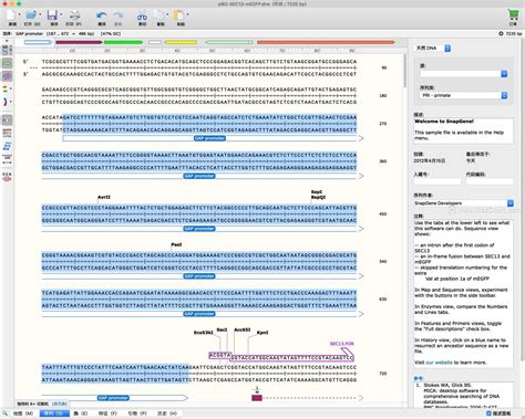 SnapGene 5.3.1 Offline Installer