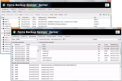 Ferro Backup System 6.3