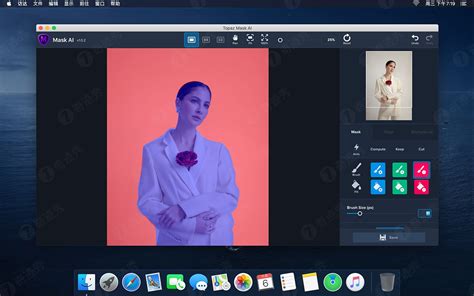 Download Topaz Mask AI