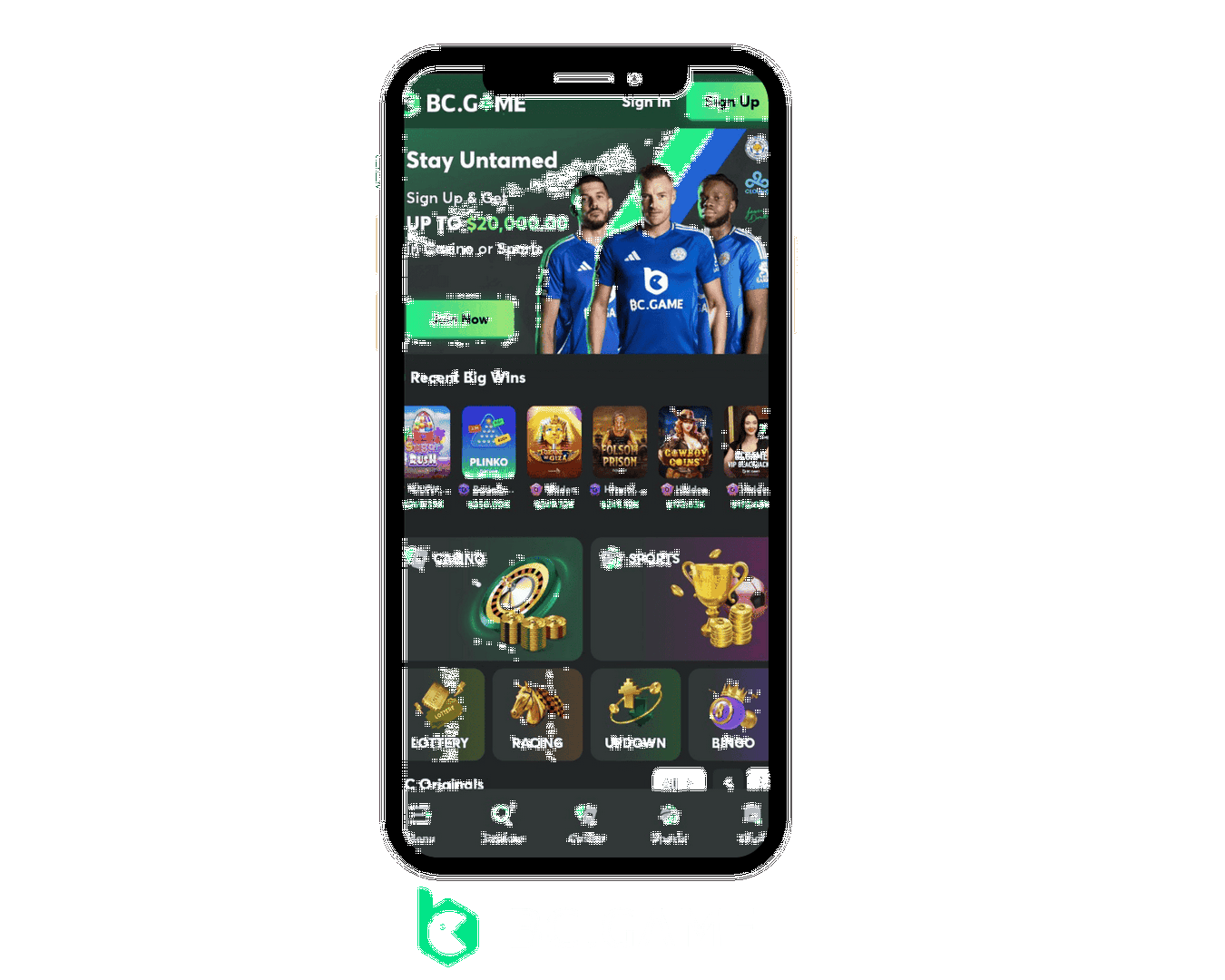 How to set up BC.Game application