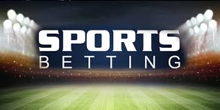 Vivi brings exciting betting opportunities and huge rewards 12 Vivi brings exciting betting opportunities and huge rewards 12